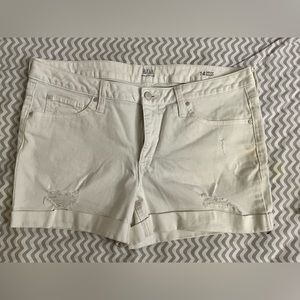 Women Distressed Shorts